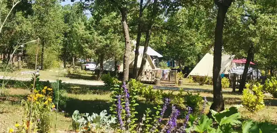 snack bar camping Jas du Moine à Salignac