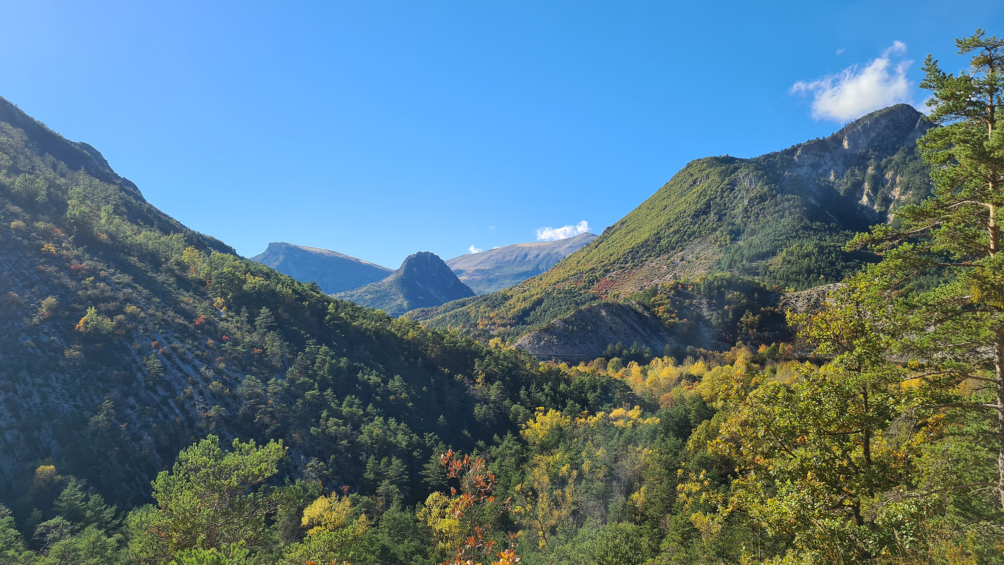 Alpes de Haute Provence